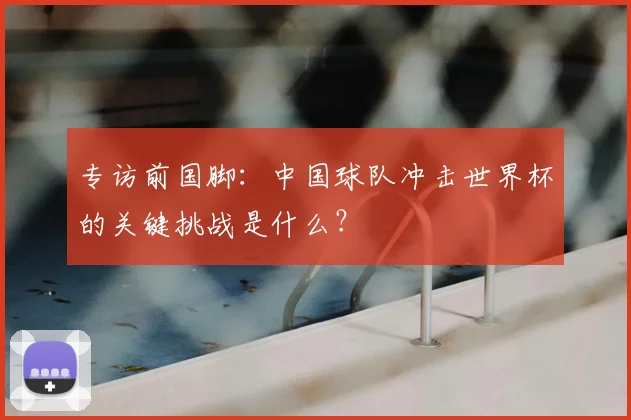 专访前国脚:中国球队冲击世界杯的关键挑战是什么?