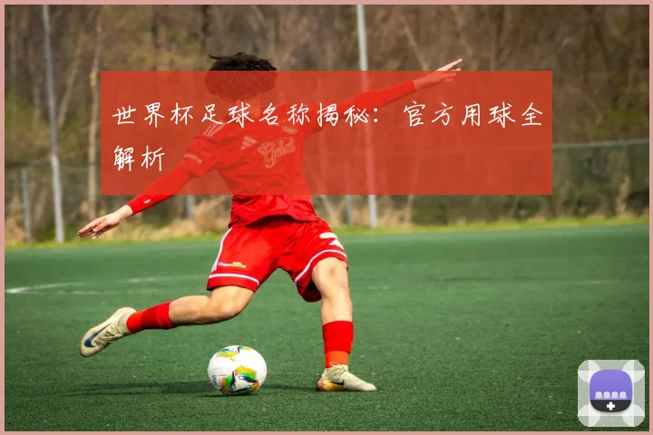 世界杯足球名称揭秘:官方用球全解析