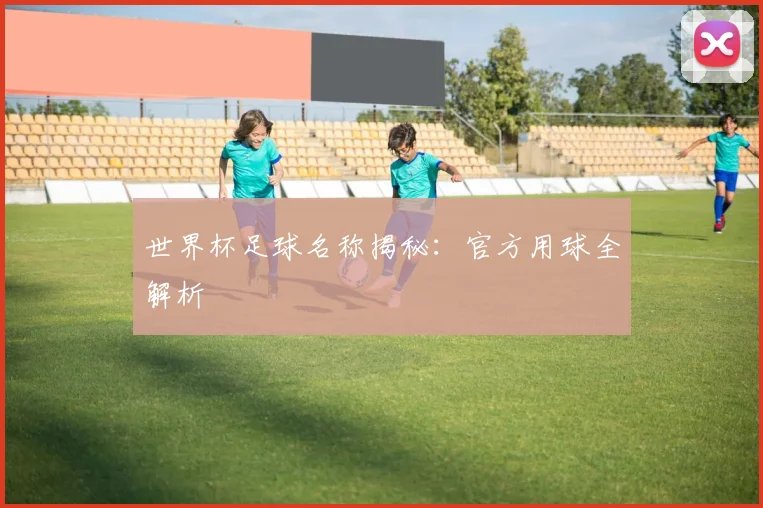 世界杯足球名称揭秘:官方用球全解析