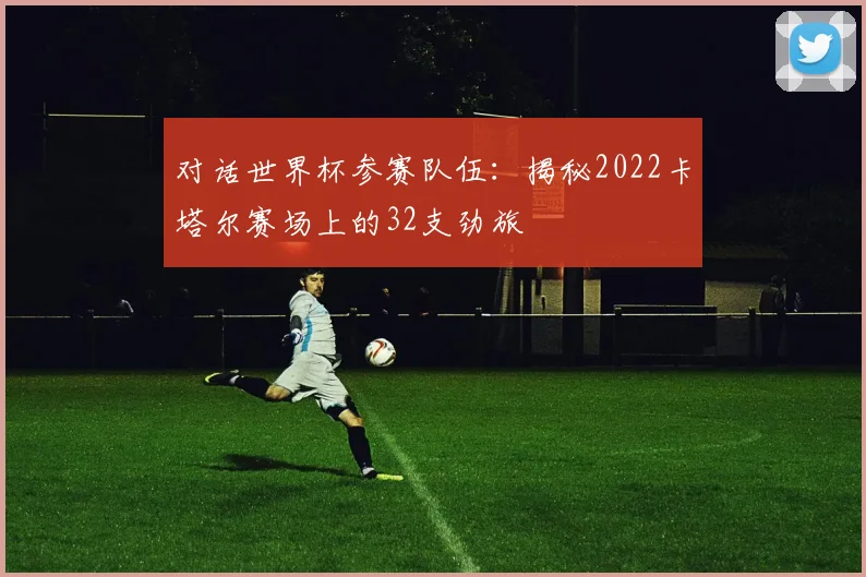 对话世界杯参赛队伍：揭秘2022卡塔尔赛场上的32支劲旅