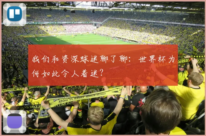 我们和资深球迷聊了聊：世界杯为何如此令人着迷？
